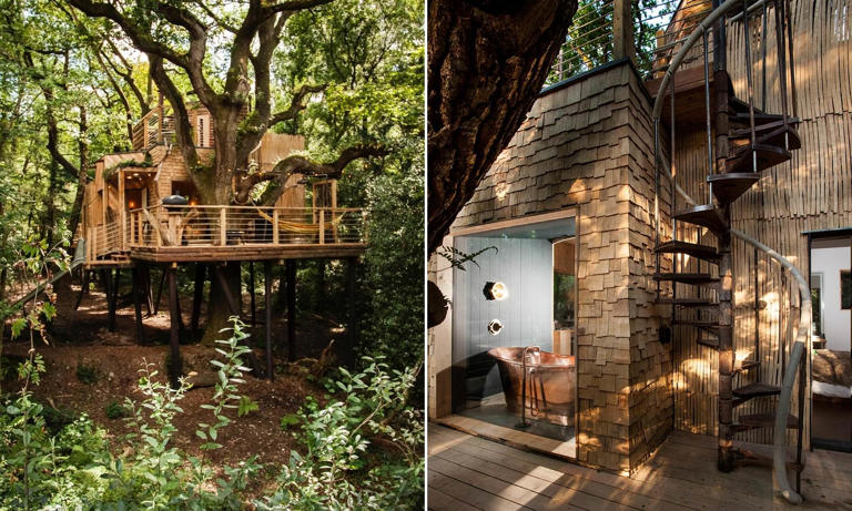 Stunning treehouse with its own slide set in 'magical woodland' goes up ...
