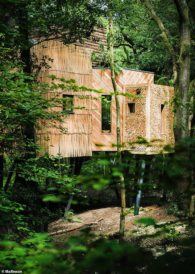 Stunning treehouse with its own slide set in 'magical woodland' goes up ...