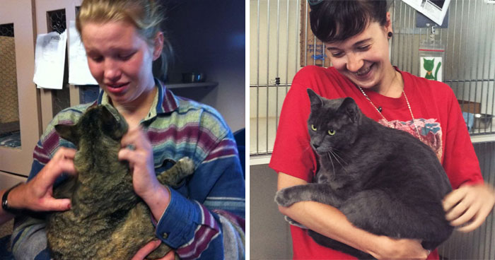 26 Stories Of Owners Finding Missing Cats Years After They Disappeared