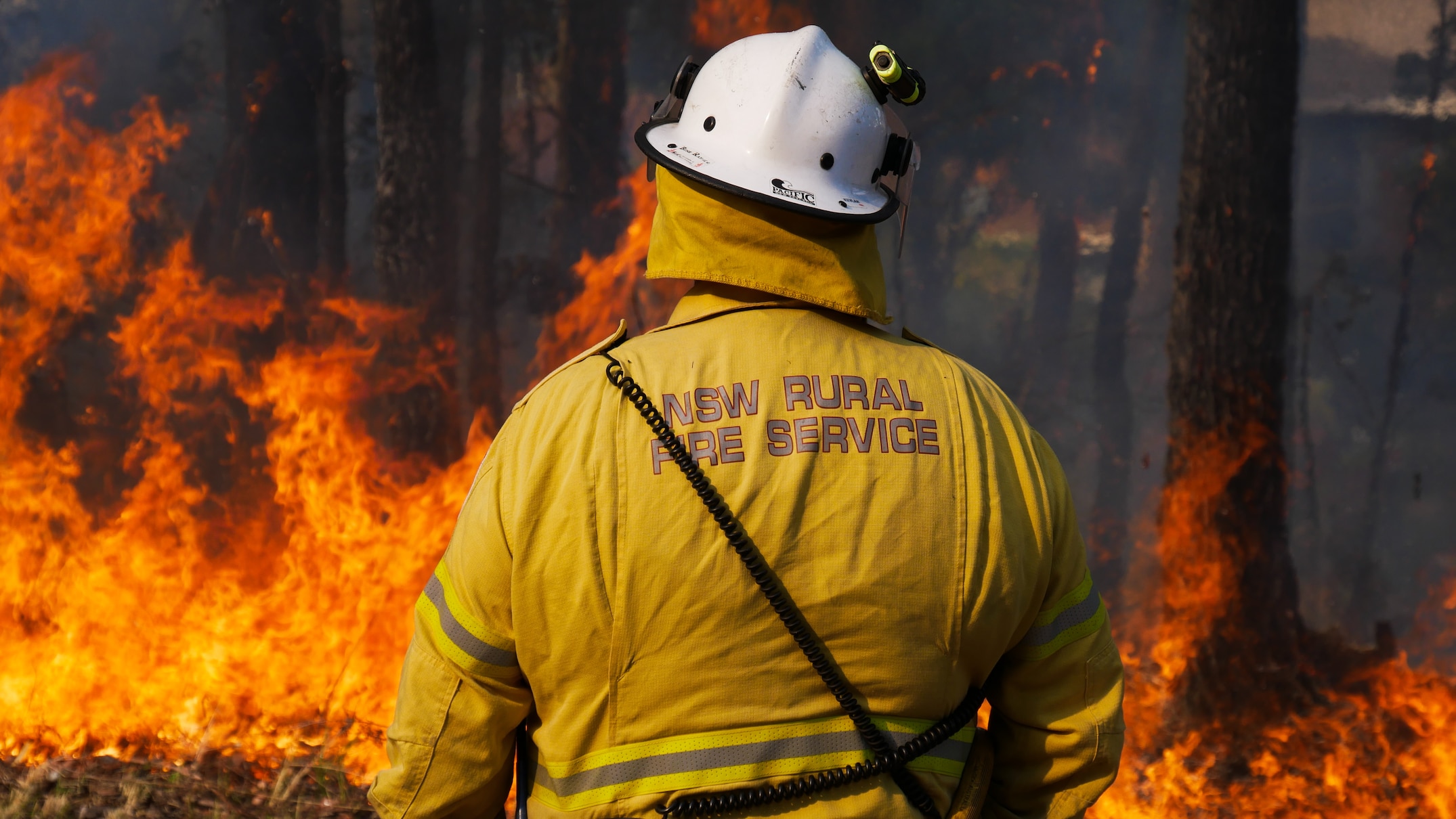 National bushfire outlook puts areas of NSW and WA at heightened risk