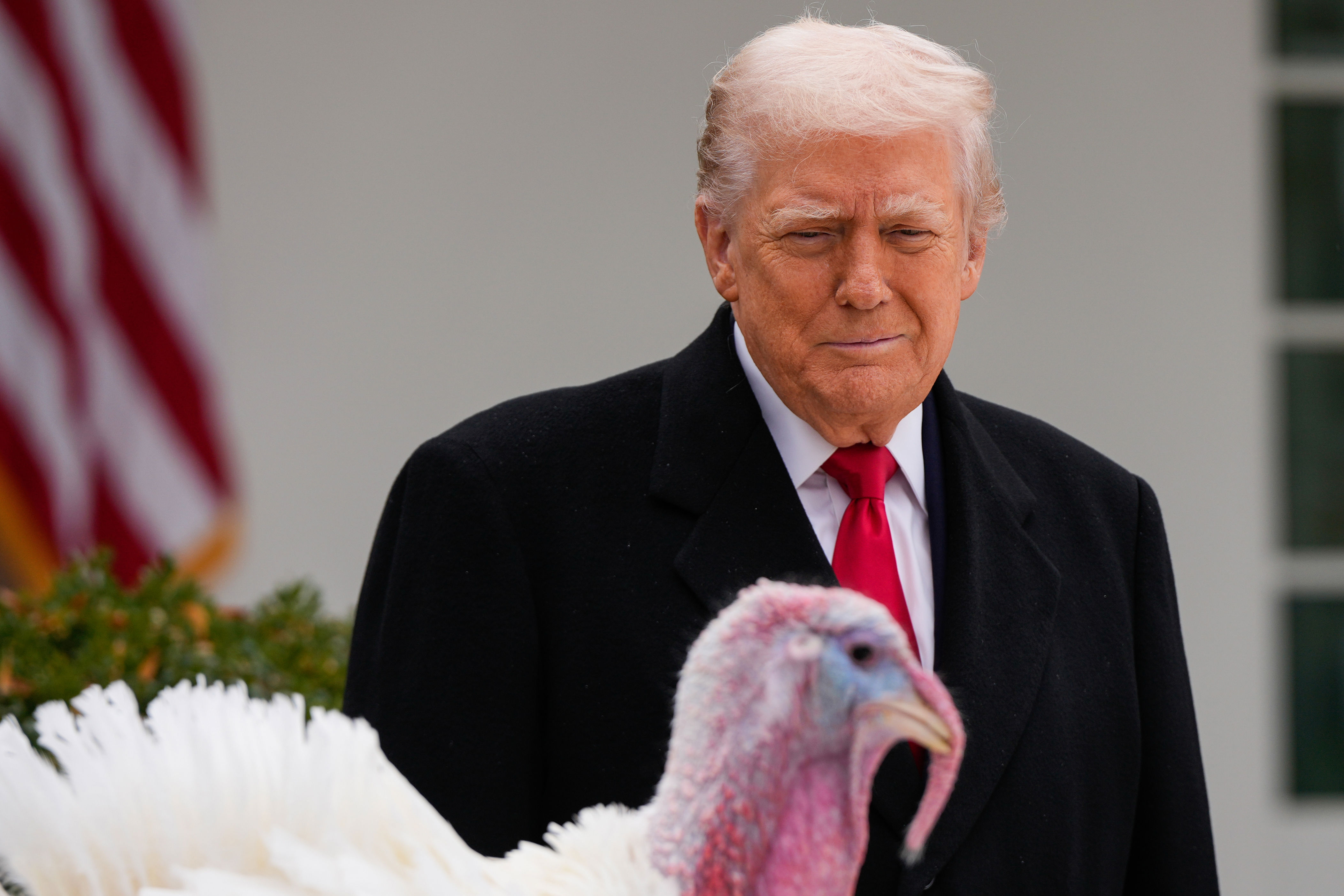 'Big, fat slob': Feathers fly as Trump pardons Thanksgiving turkeys