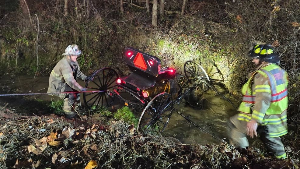 1 injured after horse and buggy crashes into creek in Lancaster County ...