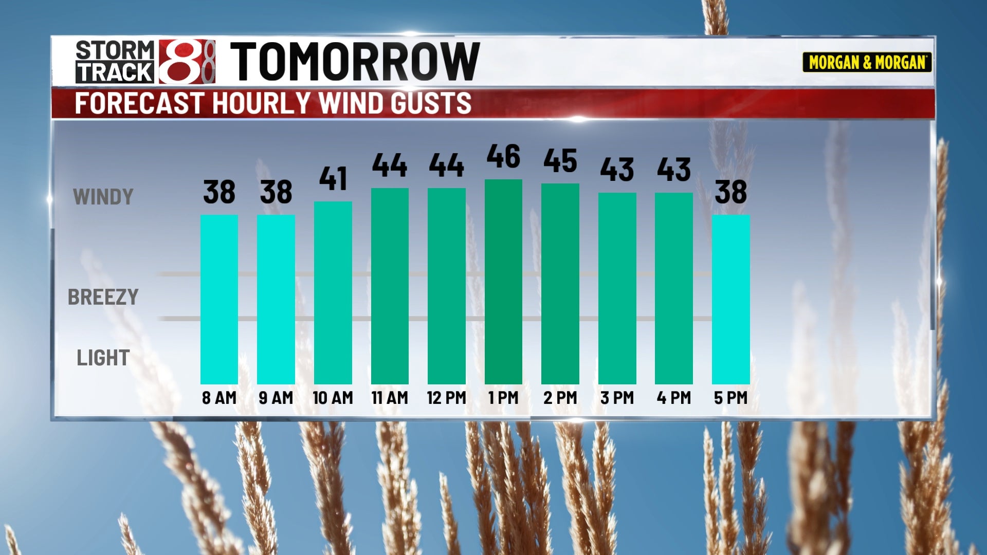 Colder and very windy Wednesday, sets us up for cold Thanksgiving | Nov ...