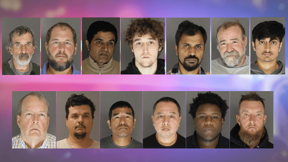 13 arrested for allegedly soliciting sexual services at Cumberland ...
