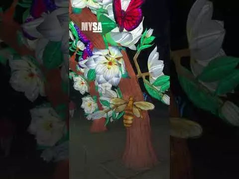 San Antonio Botanical Garden reveals 'Illuminate' holiday exhibit for ...