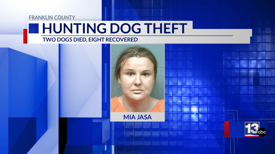 Franklin County deputies investigate strange dog theft incident