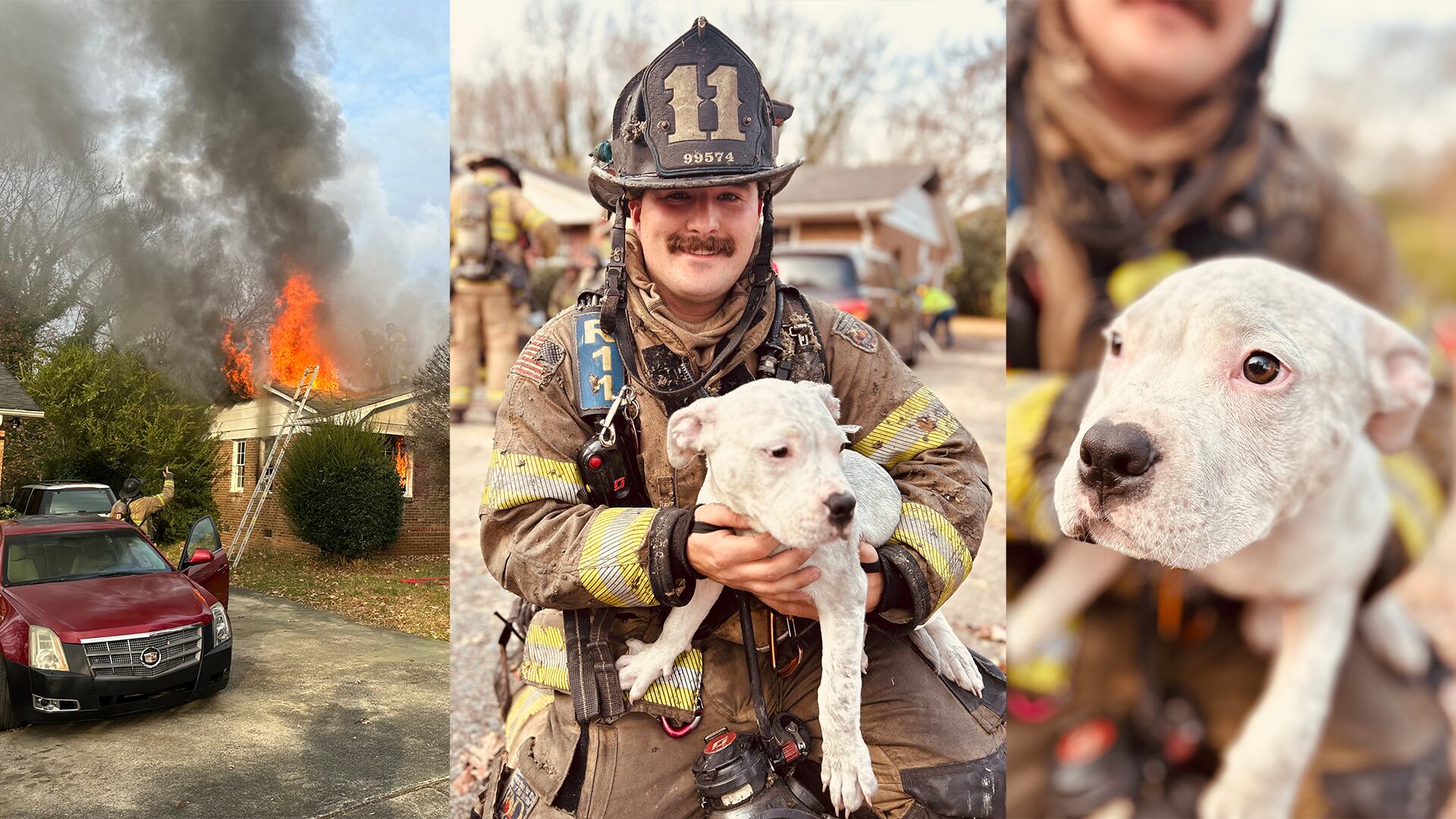 Puppy rescued from burning house in northeast Charlotte See photos here
