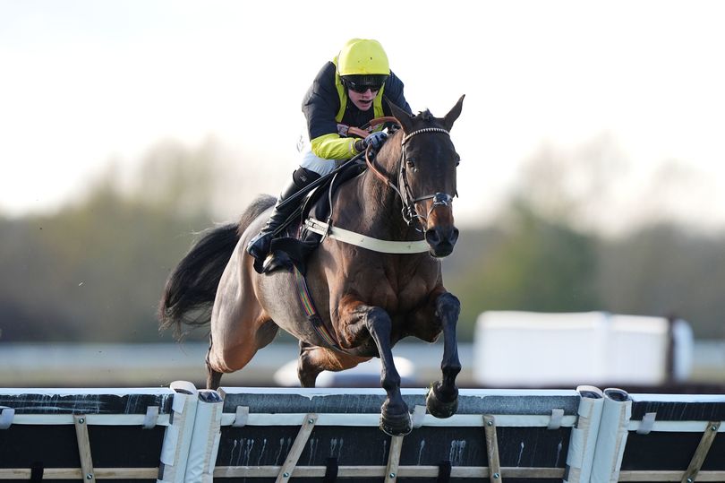 'He looks like a handicap snip' – Jason Heavey's Wednesday racing tips
