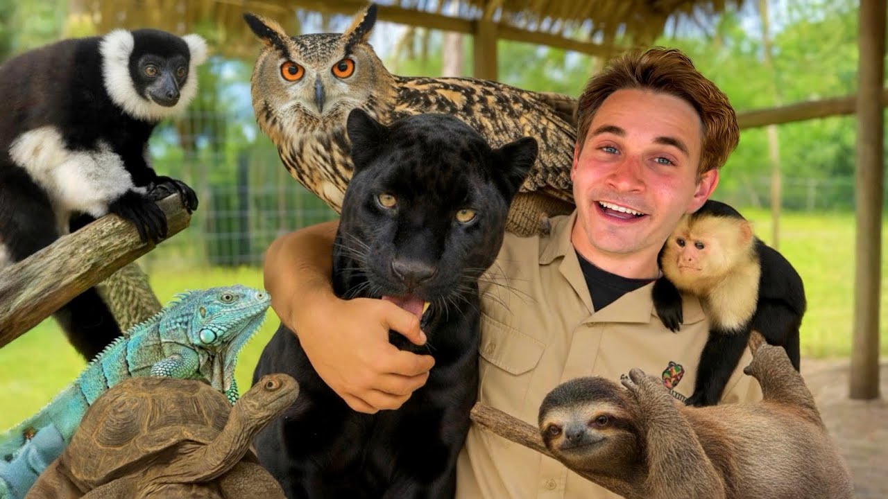 Discover my backyard zoo's wild residents!