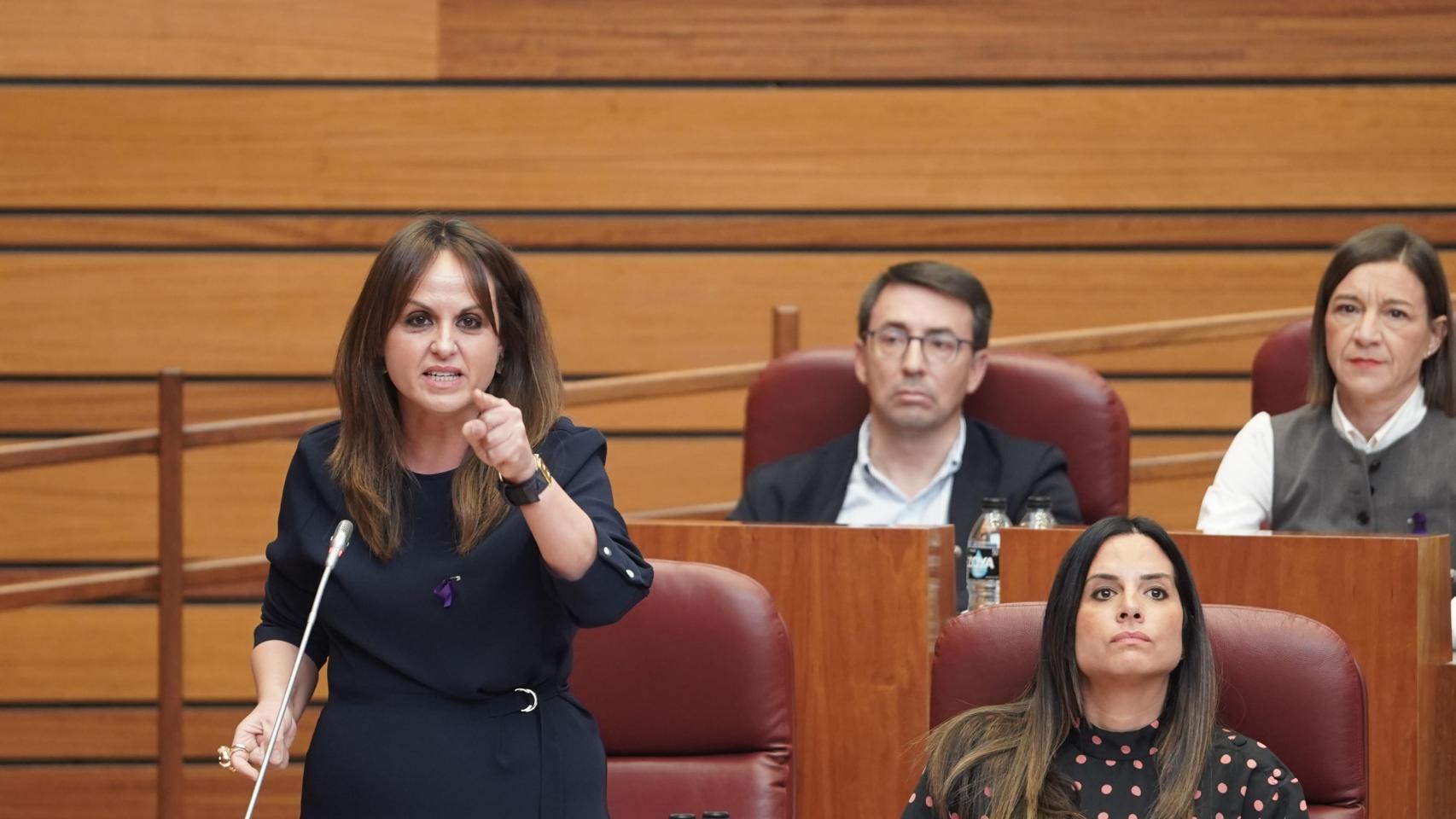 El PP denuncia que PSOE y Vox se alían en las Cortes de Castilla y León ...