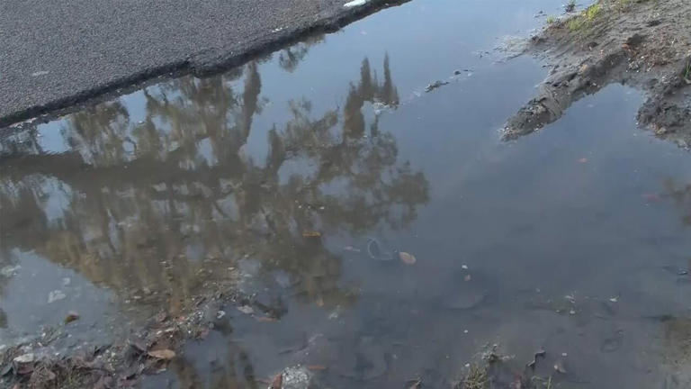 State agency awards $1M grant for James Island critical infrastructure ...