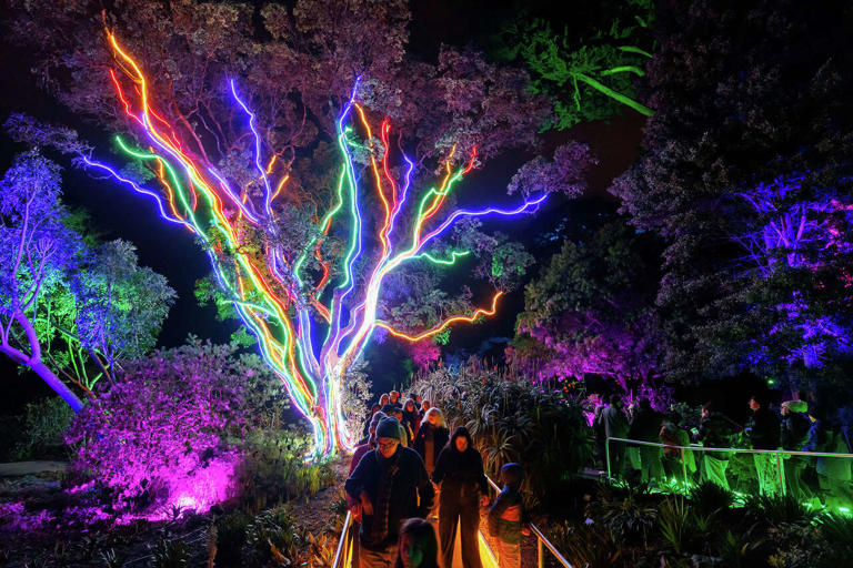 Mysterious lights seen for miles from San Francisco's Golden Gate Park