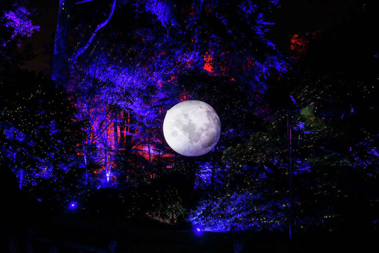 Mysterious lights seen for miles from San Francisco's Golden Gate Park