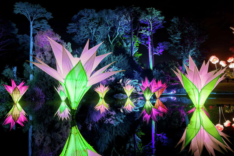 Mysterious lights seen for miles from San Francisco's Golden Gate Park