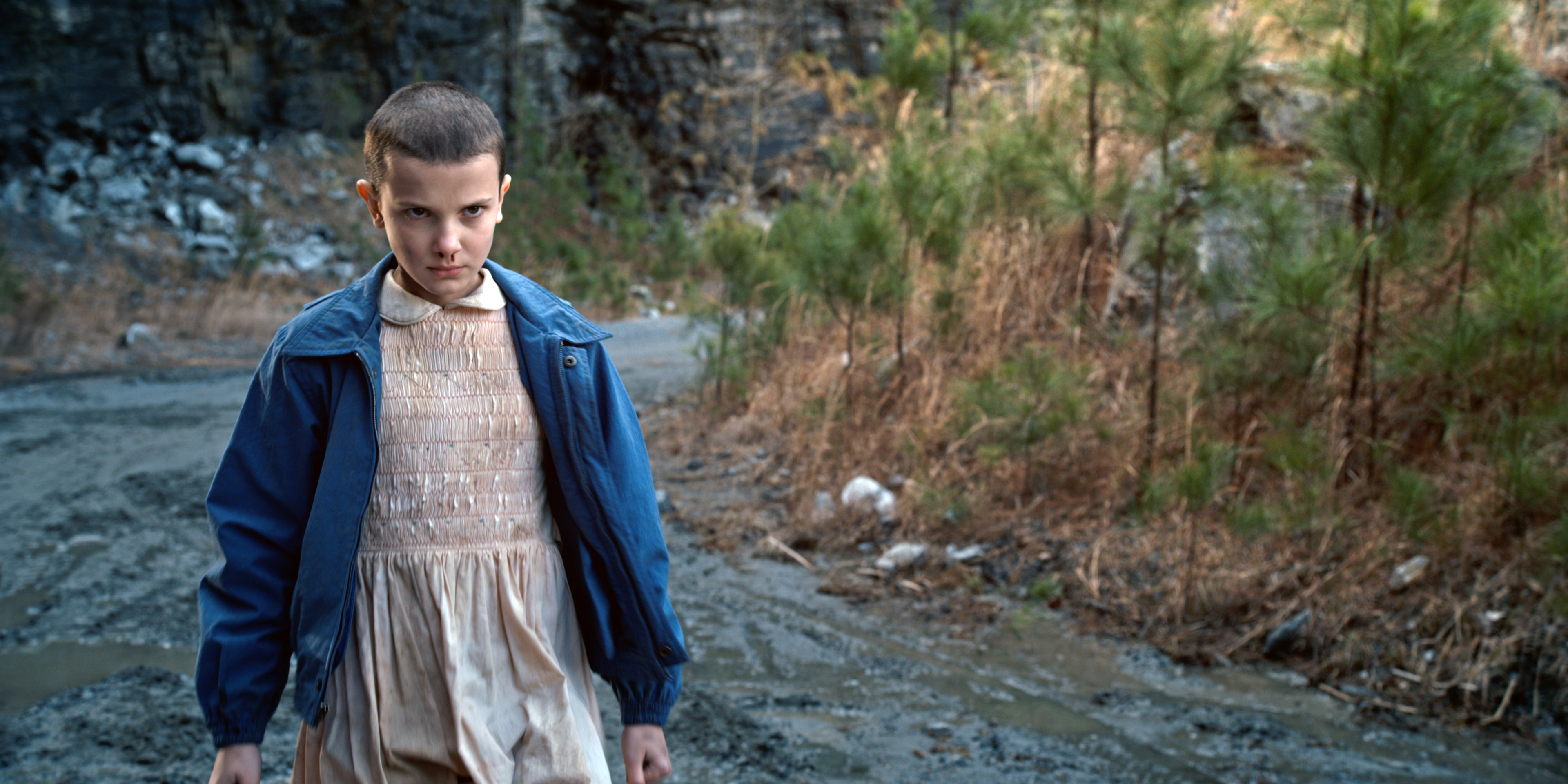 A quick recap of 'Stranger Things' Seasons 1-4, plus key episodes to ...