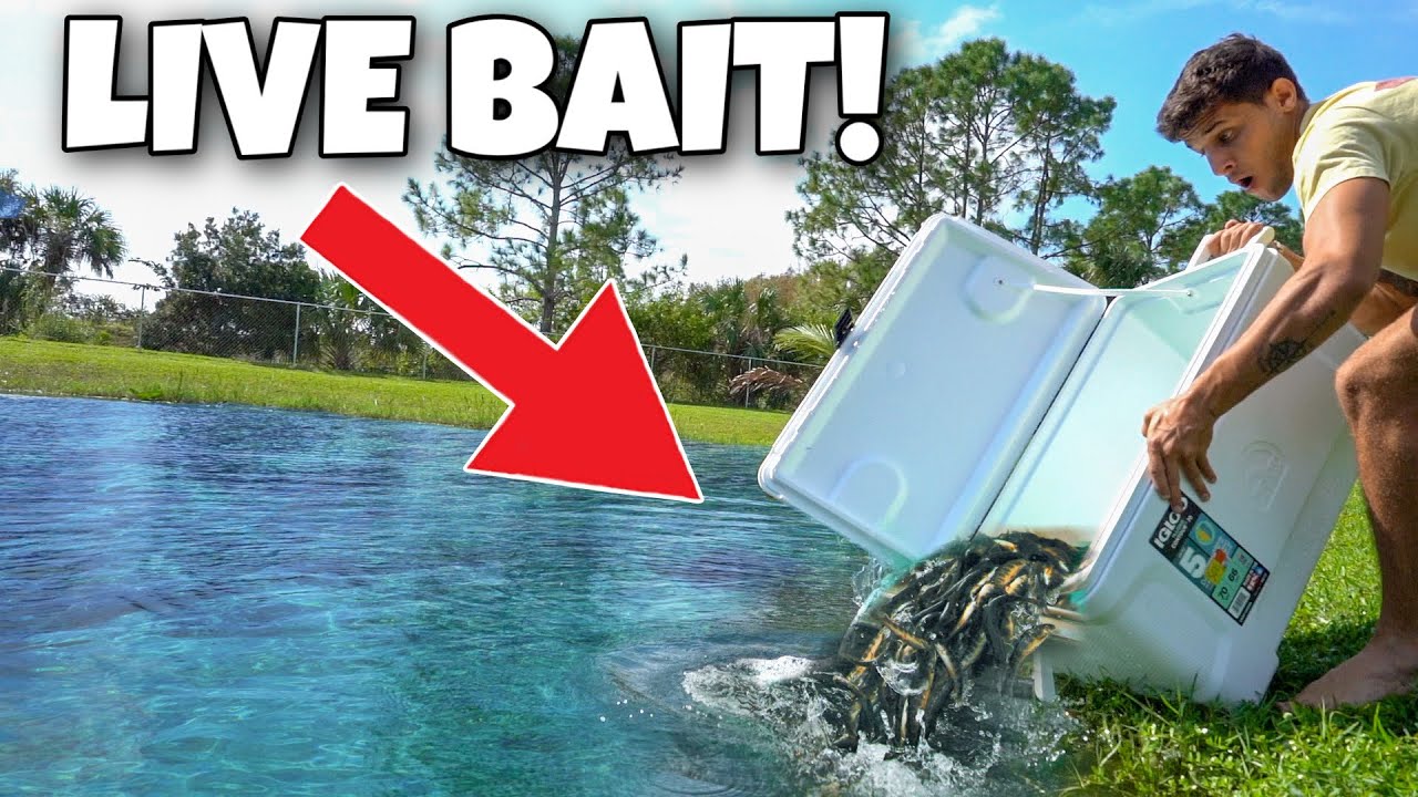 Dumping dozens of fish into my backyard pond!
