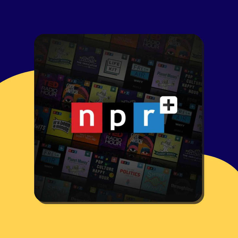 For the public media fans in your life, 8 gifts that give back to PBS ...