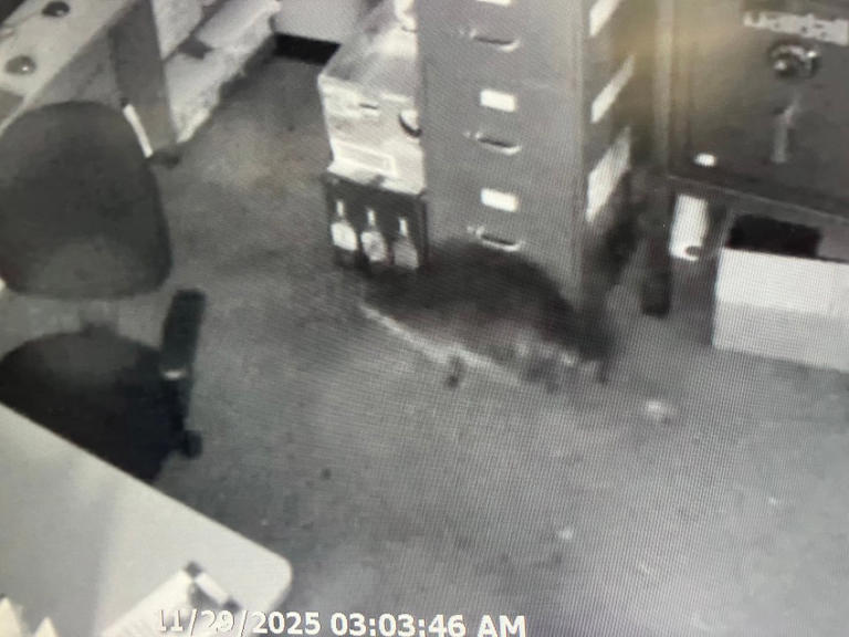 ‘Passed out drunk’: Raccoon breaks into, ransacks Hanover ABC store