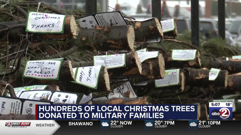 Hundreds of local Christmas trees donated to ‘Trees for Troops’