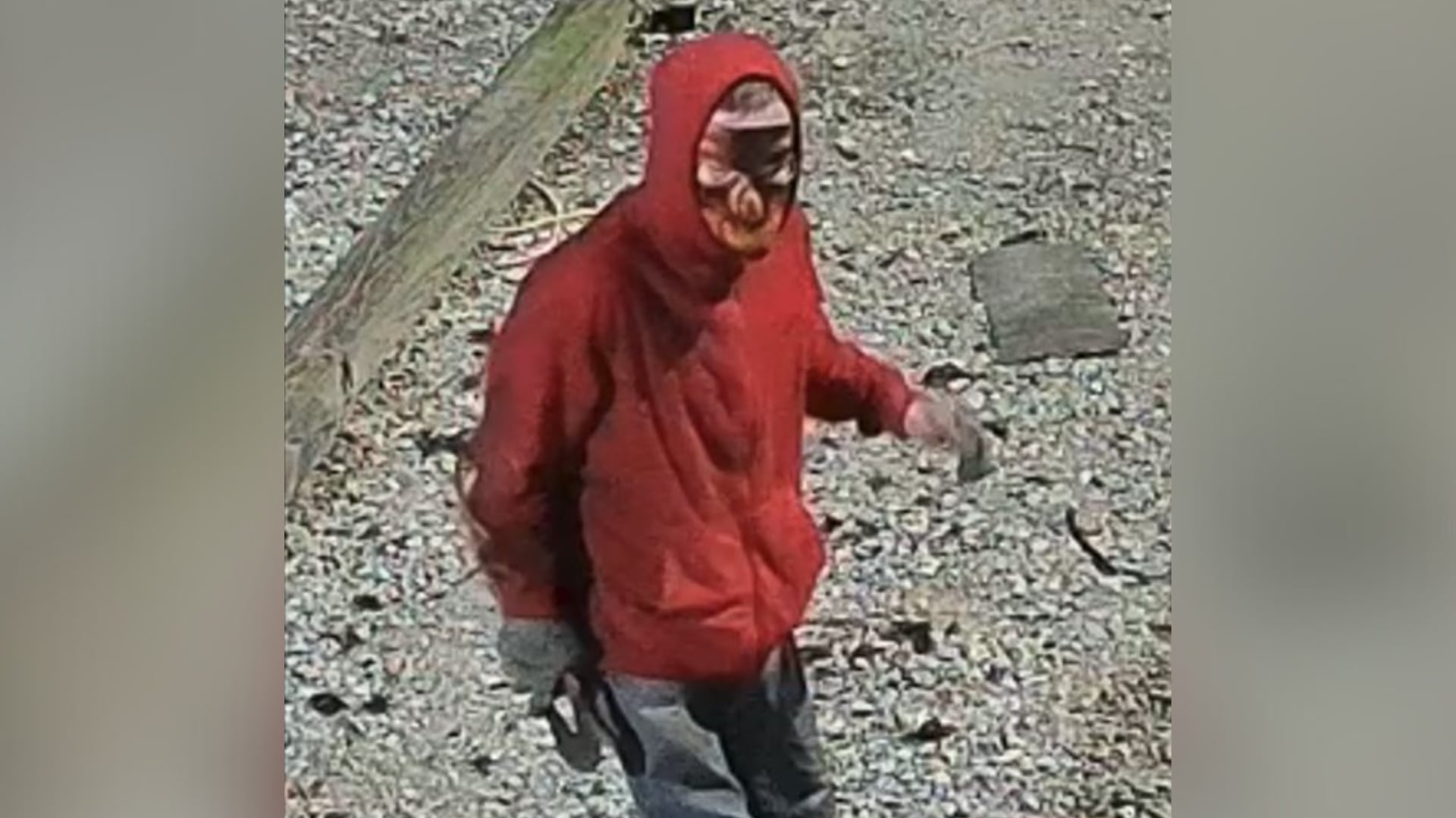 Copper wire theft caught on camera; Harrison County Sheriff’s Office ...