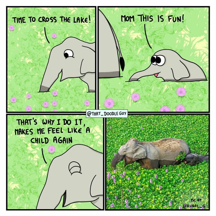 45 Of The Funniest Animal Comics Shared By Our Community