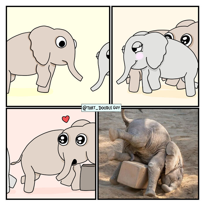 45 Of The Funniest Animal Comics Shared By Our Community