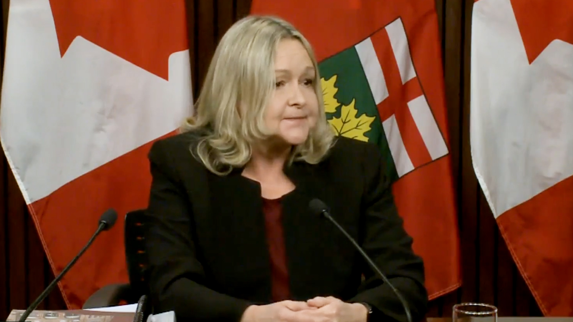 Ontario's auditor general discusses health-related audits