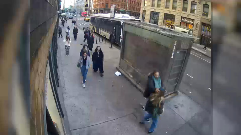 Suspect arrested in attack on NYU student has lengthy criminal history ...