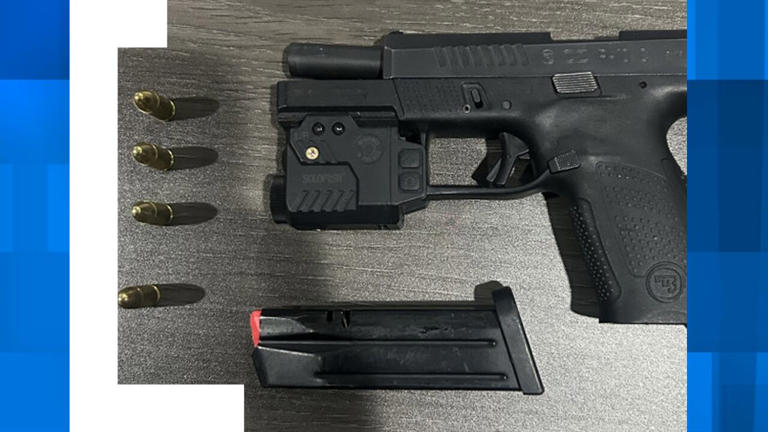 Youth arrested after North Charleston Police officers locate gun in vehicle