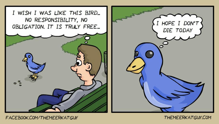 45 Of The Funniest Animal Comics Shared By Our Community
