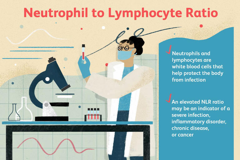 What high neutrophils and low lymphocytes mean for your health