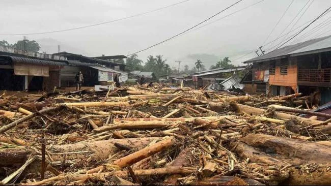 Kriteria Status Bencana Nasional, Ini Penjelasan Lengkap