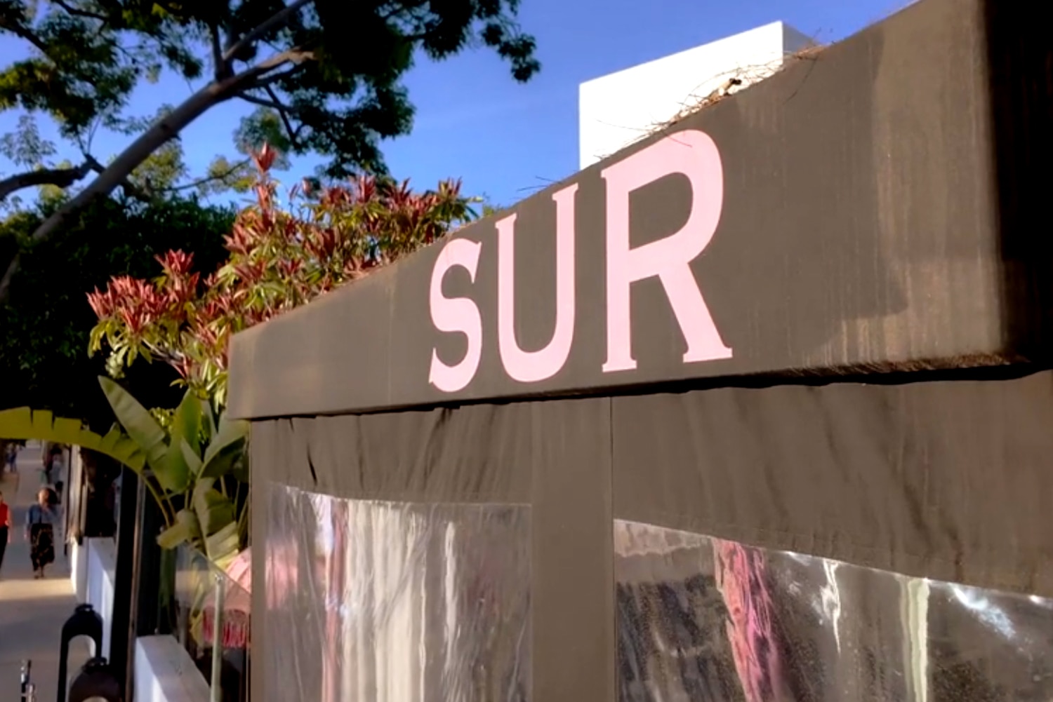 Did you catch the Vanderpump Rules OG who made a cameo in season 12?