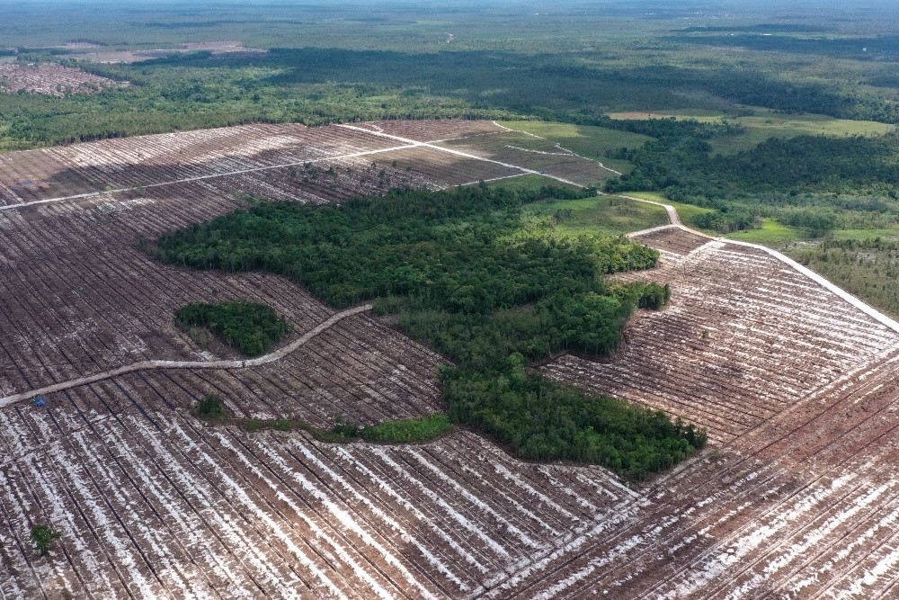 Janji Dana Konservasi Hutan RI di COP30 Di Tengah Sorotan Deforestasi