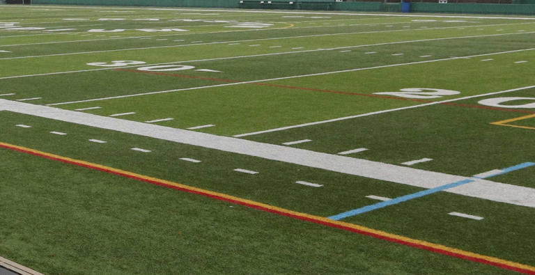What we know about Reno coach cited after brawl at youth football game