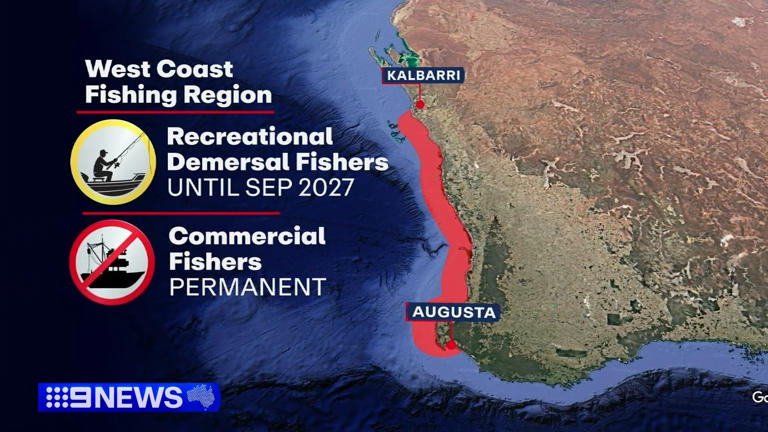 'Biggest reset' in history: WA fishing ban to drive up prices