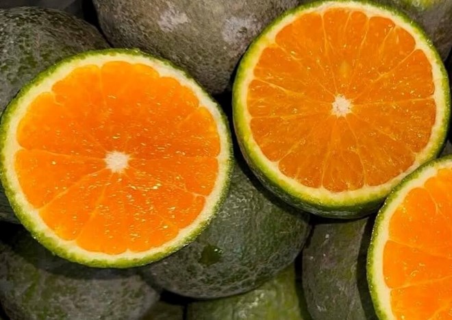 Bổ sung vitamin C đúng cách để giảm nguy cơ bệnh tật