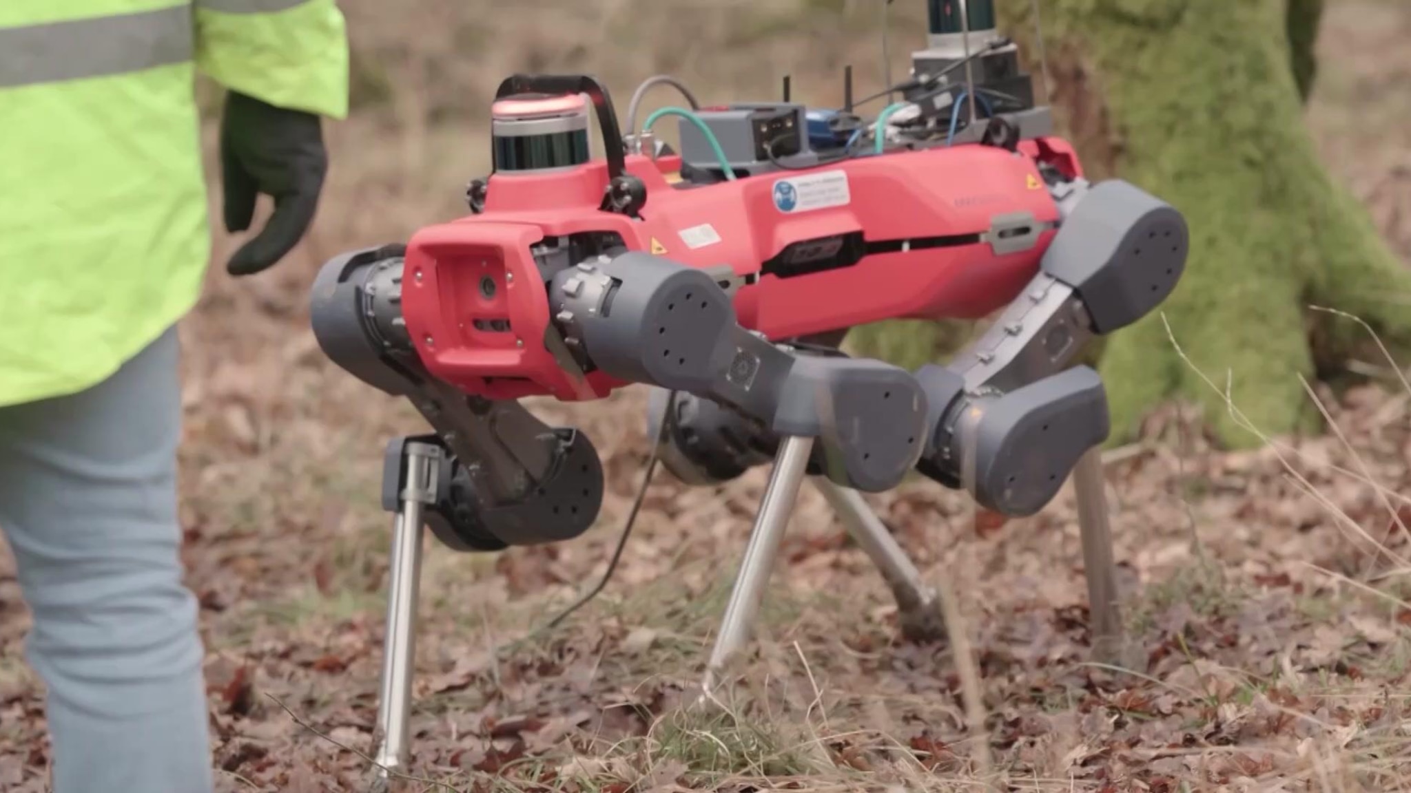 Ecco ANYmal: il “cane-robot” che mappa le foreste in 3D e aiuta la ...
