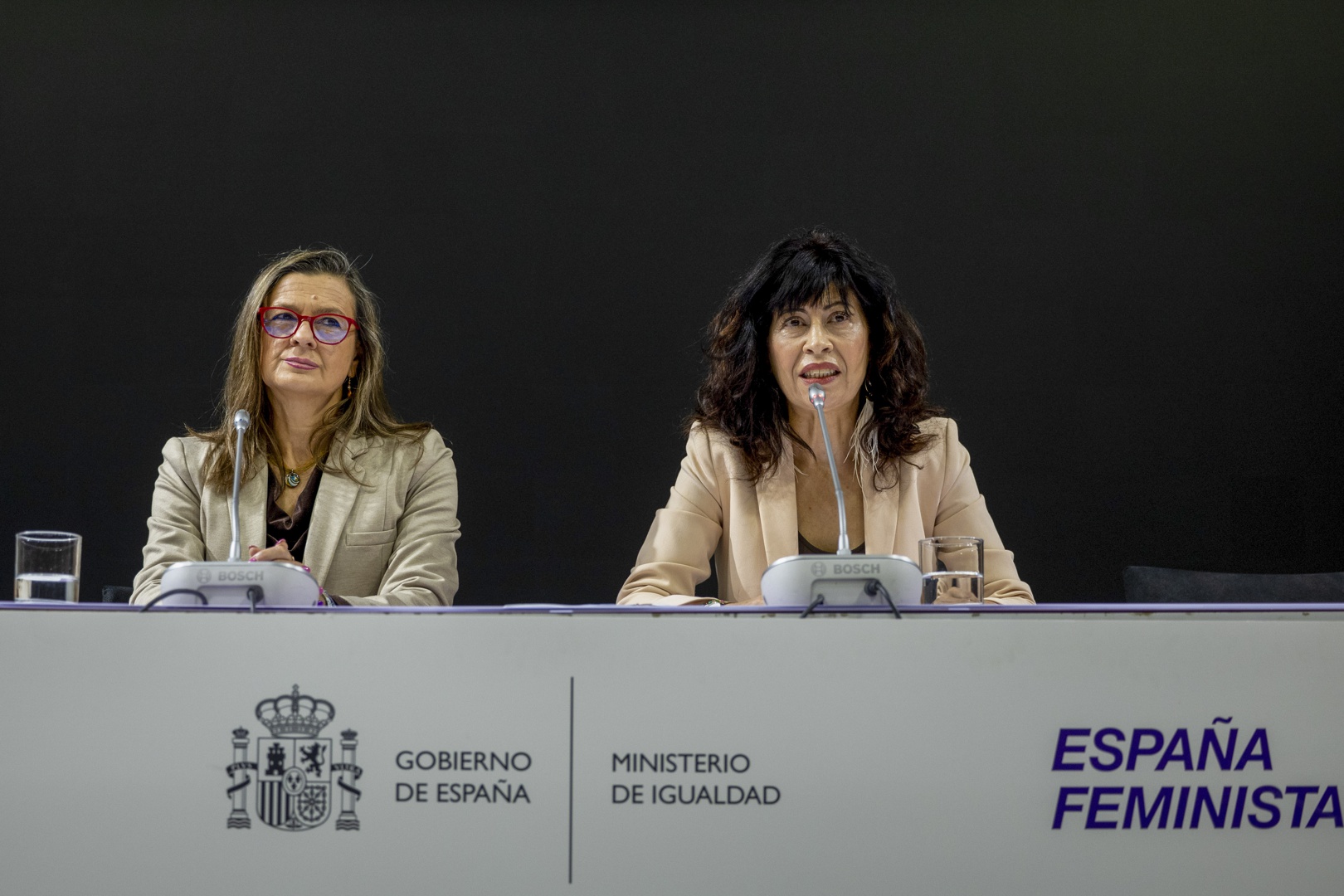 Una de cada tres mujeres ha sufrido violencia en el ámbito de la pareja