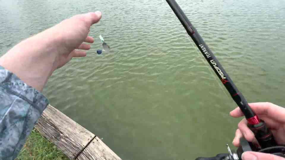 I caught the rarest fish in the whole lake