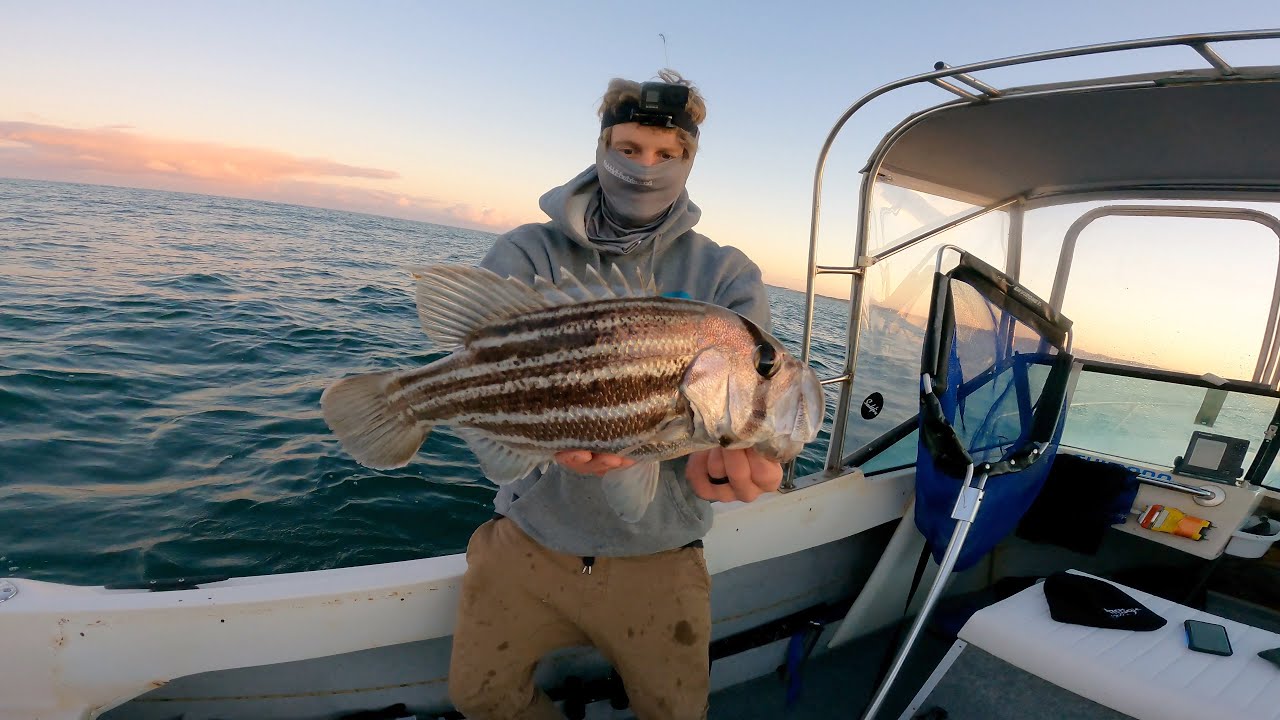 Chasing fresh snapper for a proper Aussie dinner