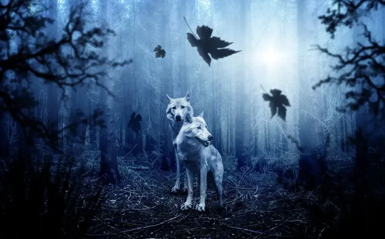 11 Animals People Think Are Scary - But Are Terrified of Us