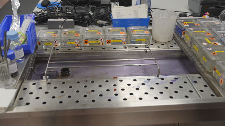 Laboratories should use machines called downdraft benches to store tissue samples kept in formaldehyde (Channel 4 News)