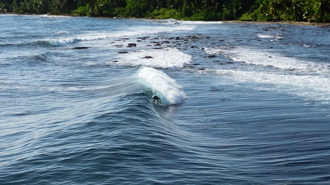 He Walked Up Expecting Nothing… And Found Perfect Waves Hidden Behind ...