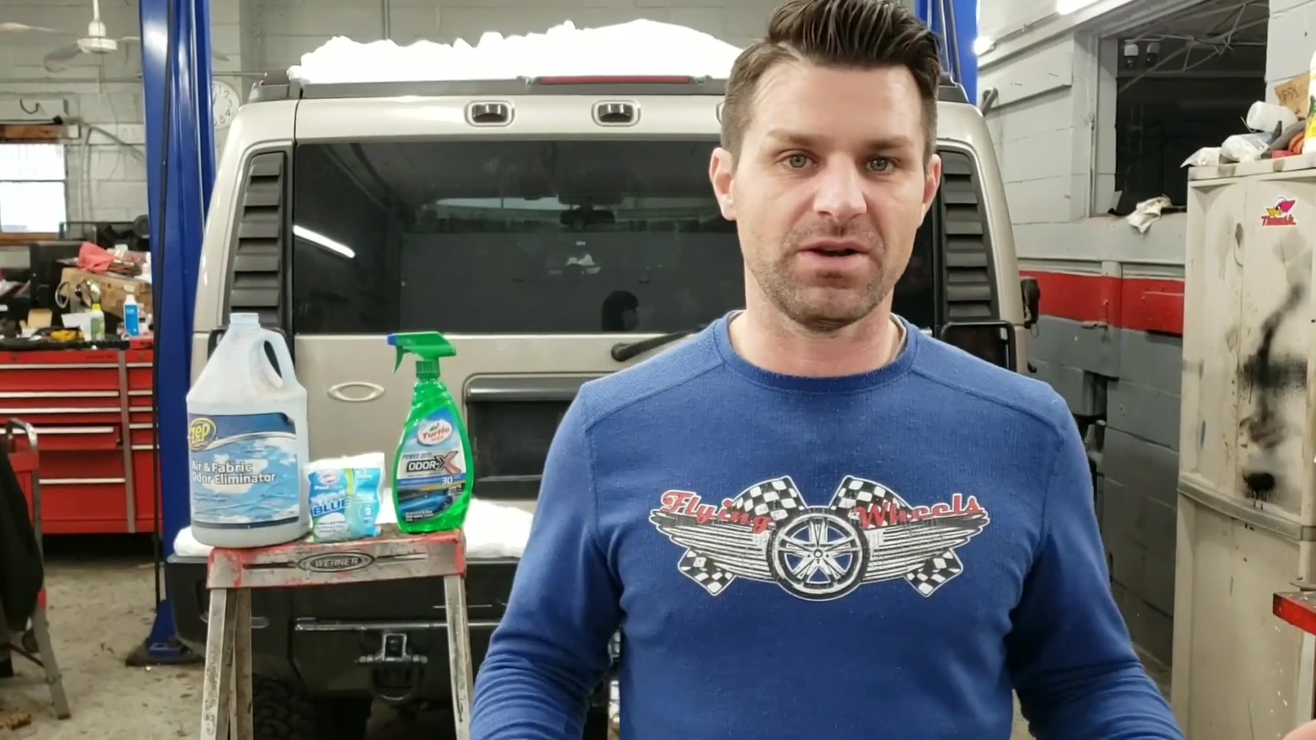 Professional techniques for eliminating cigarette smoke and animal smells