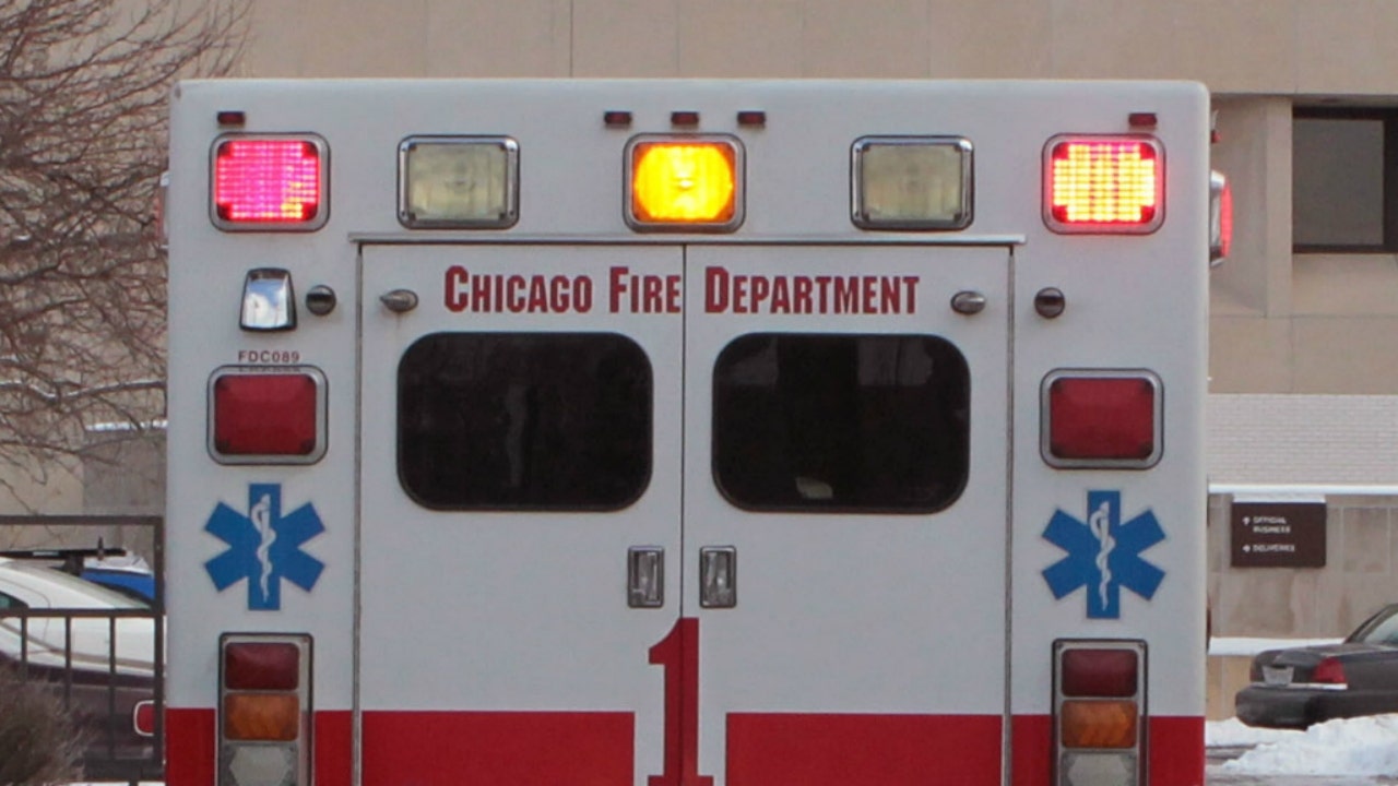 Teen killed, 3 others hurt after stolen car crashes into tree in Chicago