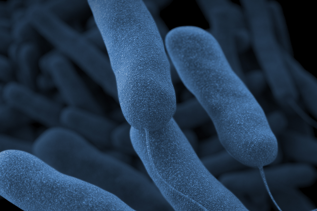 Vegas tourist dies after Legionnaires’ disease, lawsuit says<br><br>
