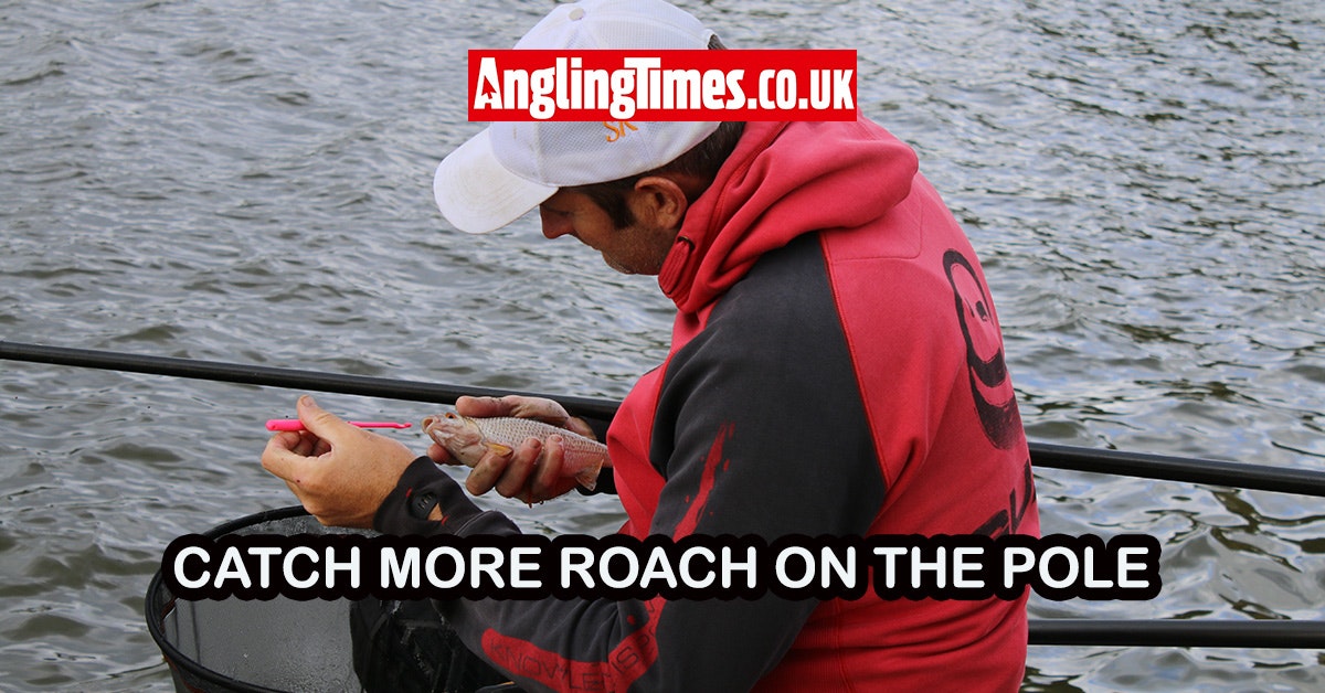 How to catch winter roach on the pole