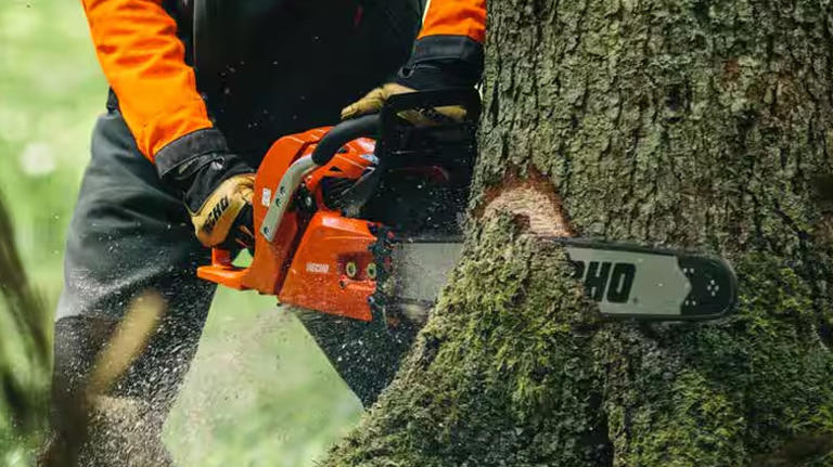 Harbor Freight Or Home Depot: Which Brand's Chainsaw Is Right For You