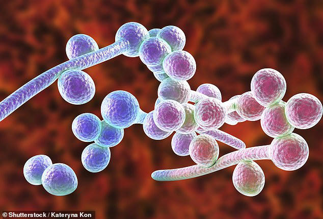 Common bacteria are 'adapting' to become resistant to drugs... posing ...